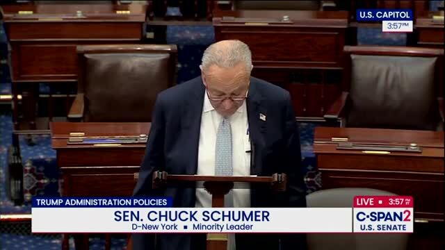 Chuck Schumer Blasts Trump’s EU Deal: ‘It’s Fake!’